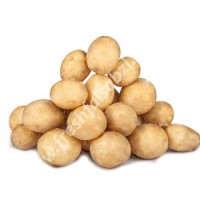 Potato Surya